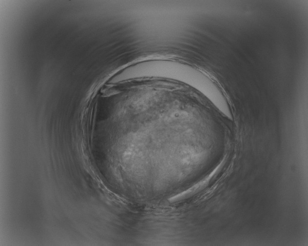 X0000067510337200604211756