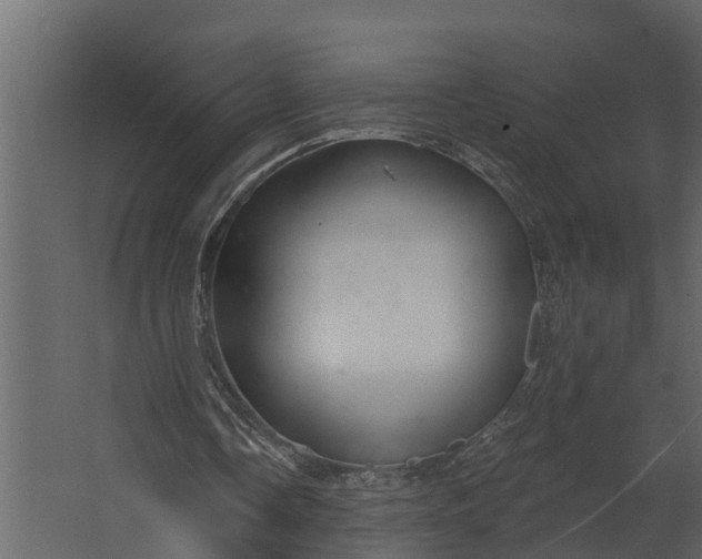 X0000067510338200604211756