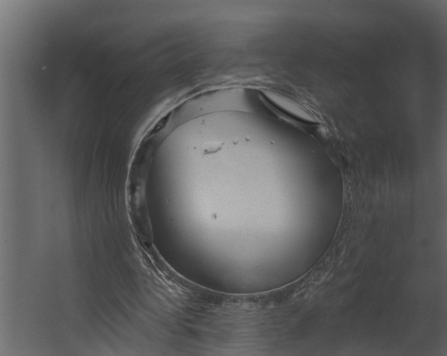 X0000067510340200604211756