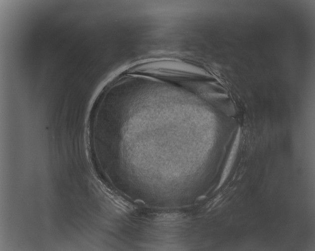 X0000067510342200604211756