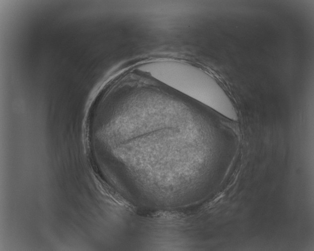 X0000067510343200604211756