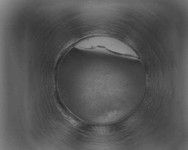 X0000067510349200604211757