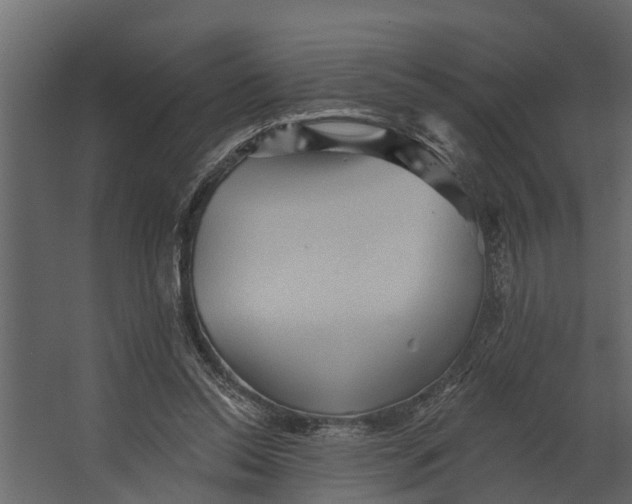 X0000067510350200604211757