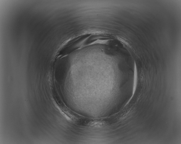 X0000067510352200604211757