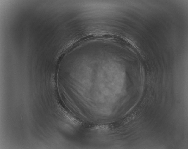 X0000067510353200604211757