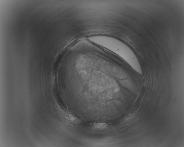 X0000067510355200604211757