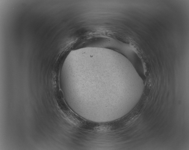 X0000067510356200604211757