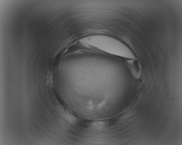 X0000067510357200604211757