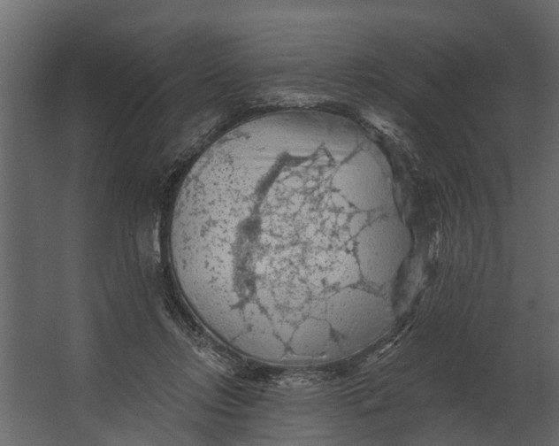 X0000067510358200604211757