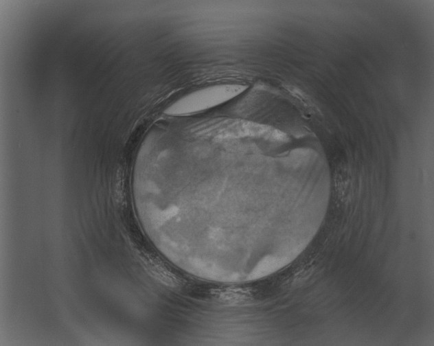 X0000067510359200604211757