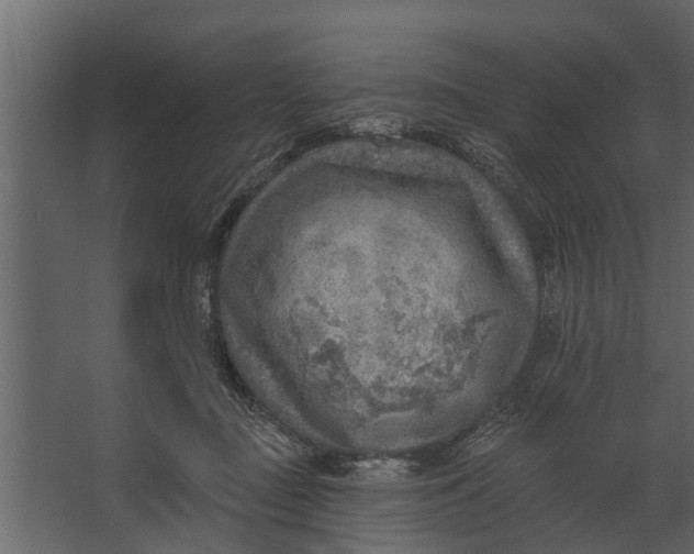 X0000067510363200604211757