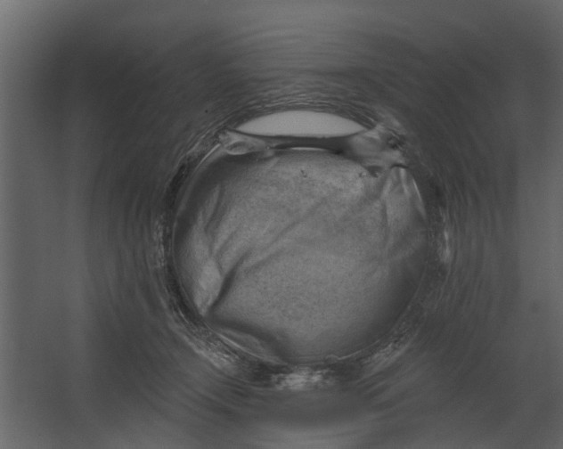 X0000067510366200604211757