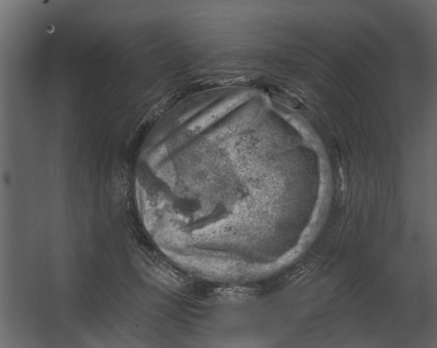 X0000067510367200604211757