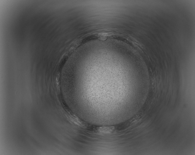 X0000067510373200604211757