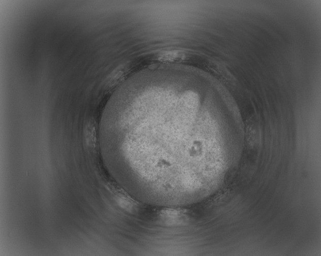 X0000067510375200604211757