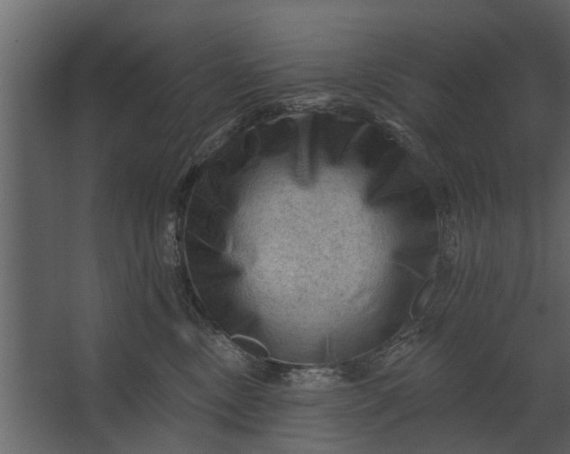 X0000067510378200604211757