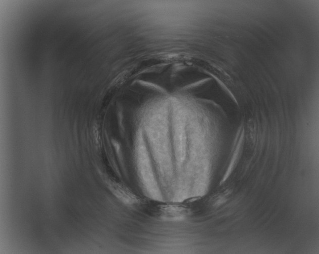 X0000067510380200604211757