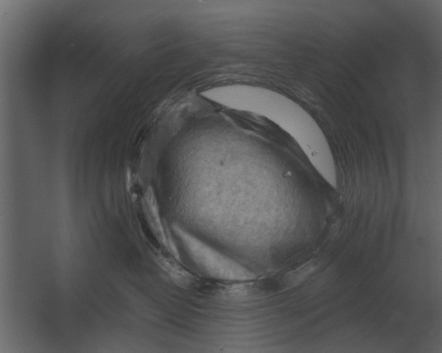 X0000067510382200604211757