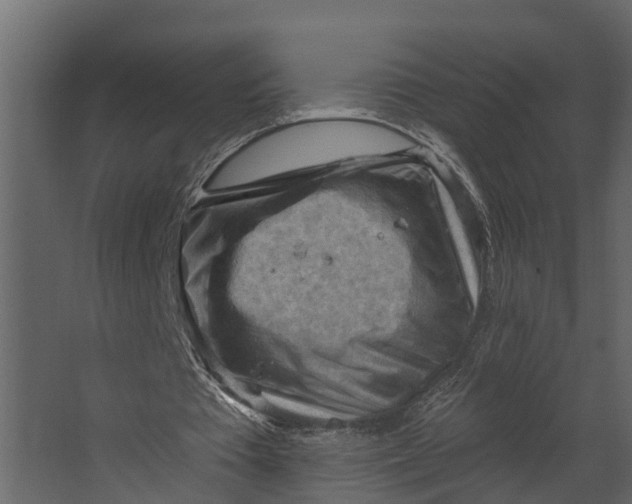 X0000067510385200604211756