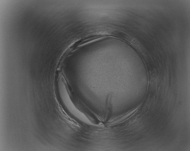 X0000067510386200604211756