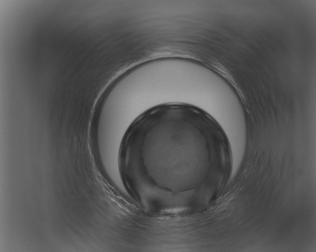 X0000067510387200604211756