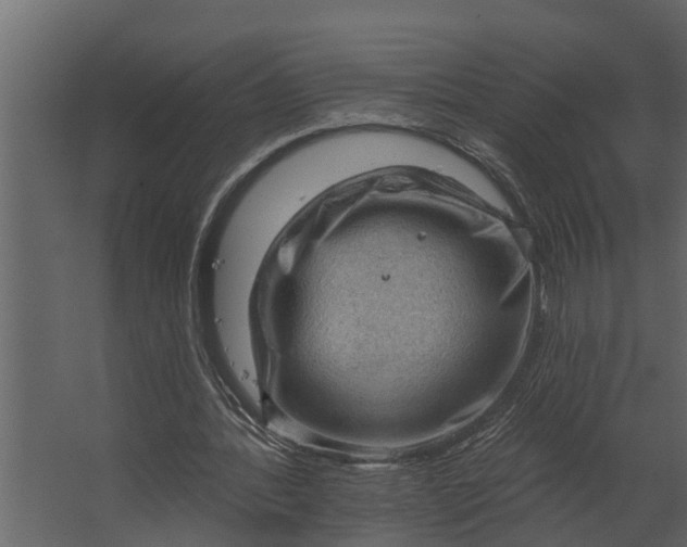 X0000067510388200604211756