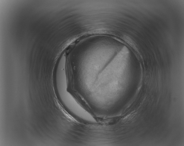 X0000067510389200604211756