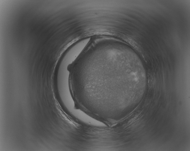 X0000067510390200604211756