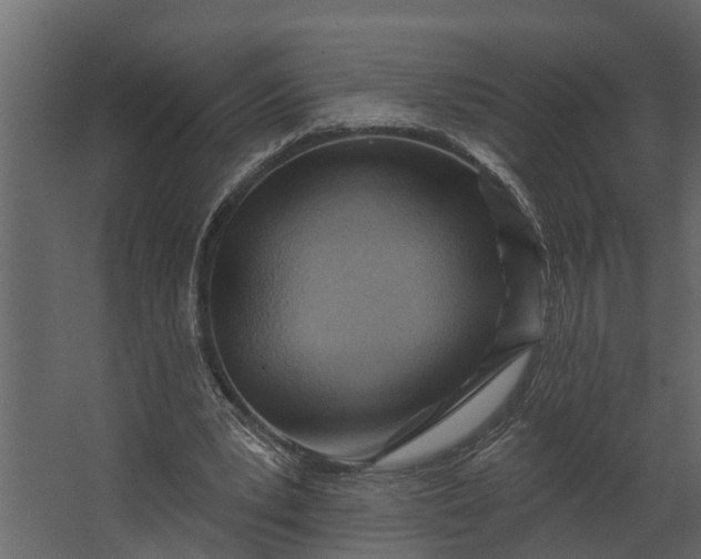 X0000067510391200604211756