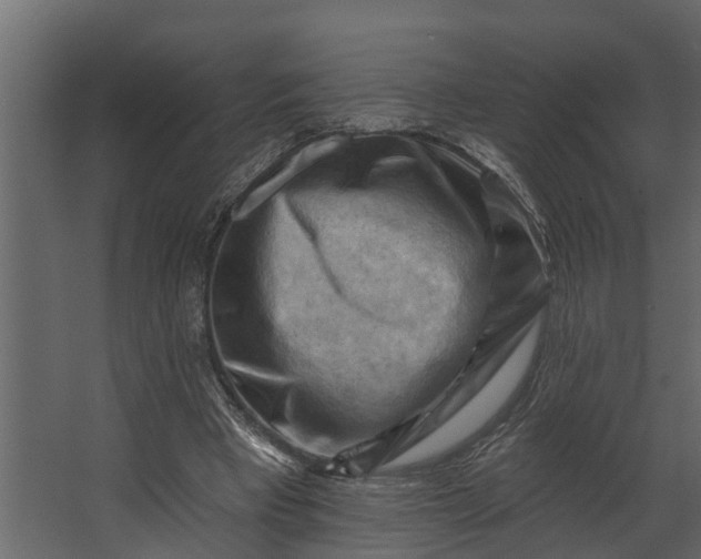 X0000067510393200604211756