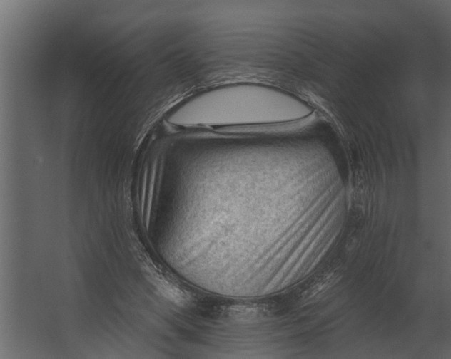 X0000067510394200604211756