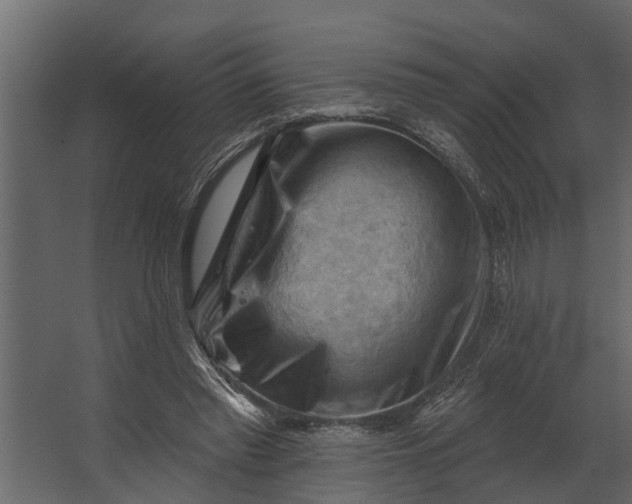 X0000067510397200604211756