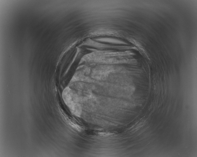 X0000067510399200604211756