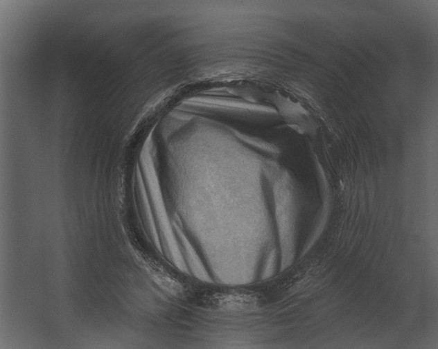 X0000067510400200604211756