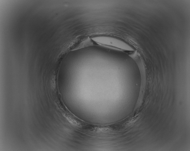 X0000067510401200604211756