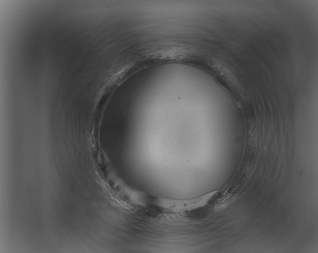 X0000067510403200604211756