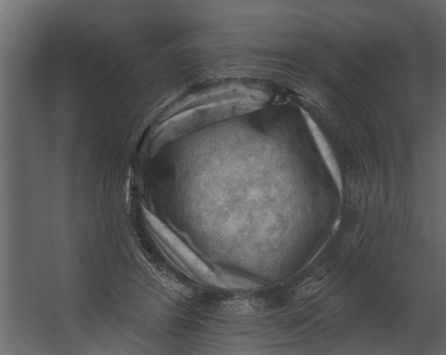 X0000067510404200604211756