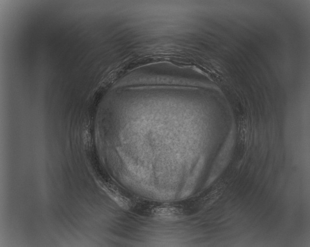 X0000067510408200604211756