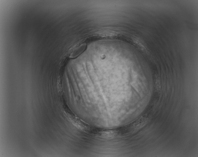 X0000067510411200604211756