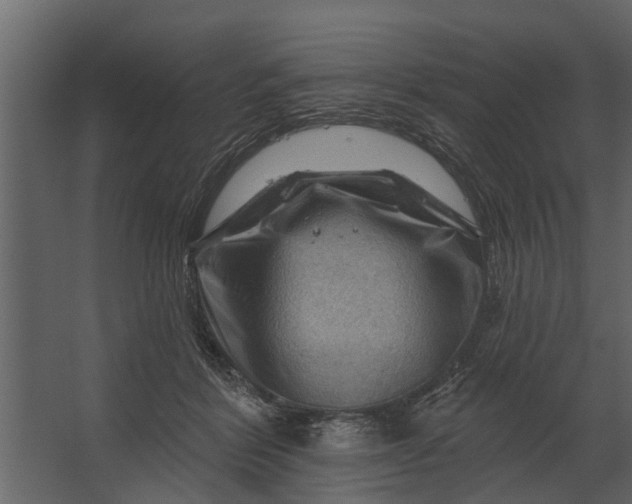 X0000067510412200604211756