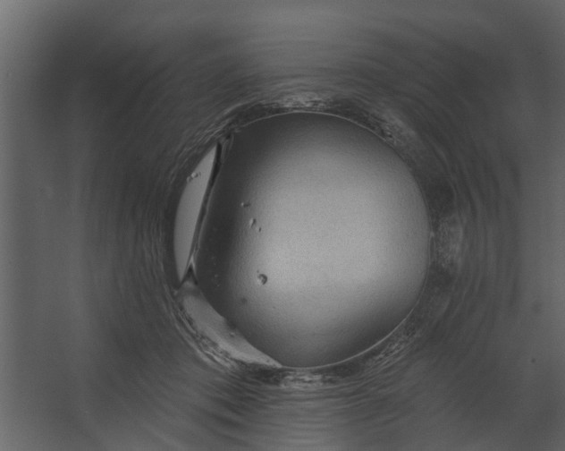 X0000067510413200604211756