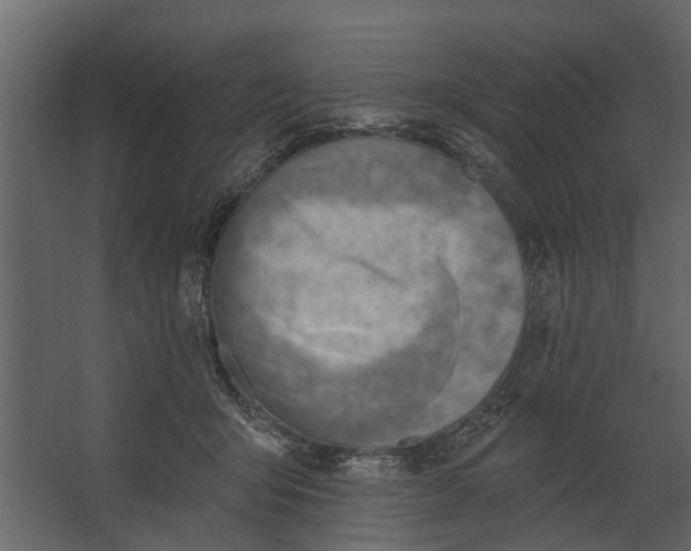 X0000067510415200604211756