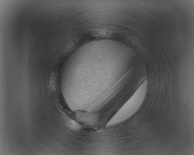 X0000067510416200604211756