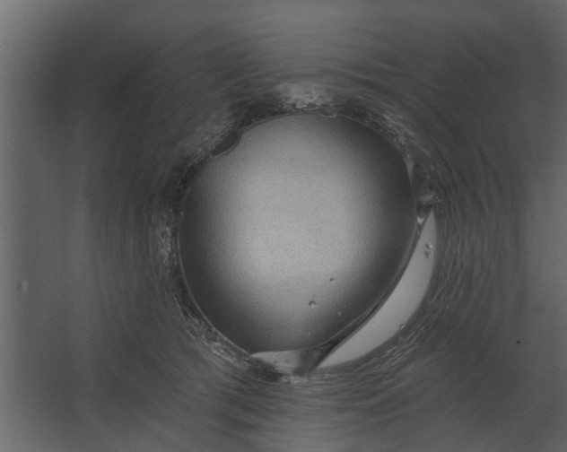 X0000067510417200604211756