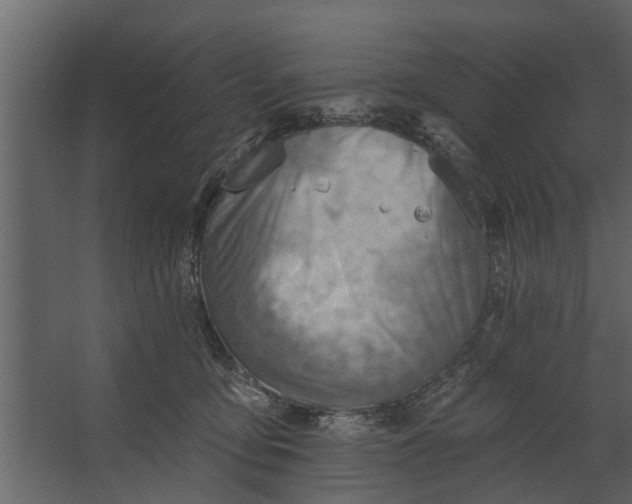 X0000067510419200604211756