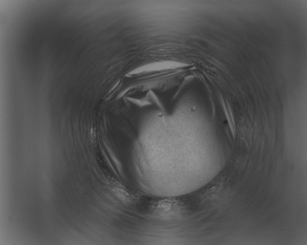 X0000067510420200604211756