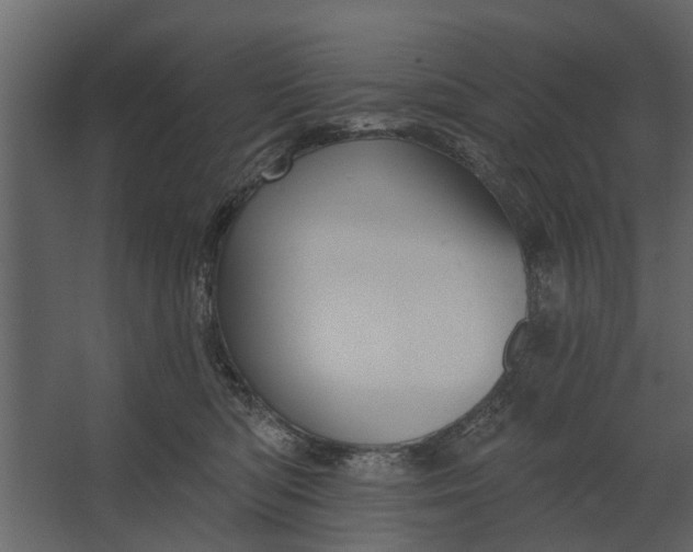 X0000067510422200604211756