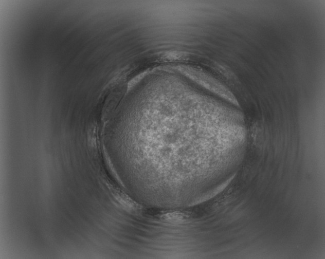 X0000067510423200604211756