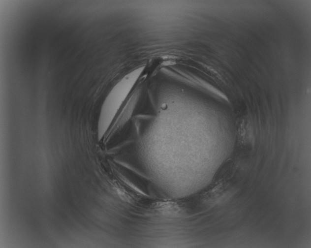 X0000067510424200604211756