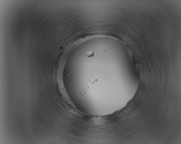 X0000067510425200604211756